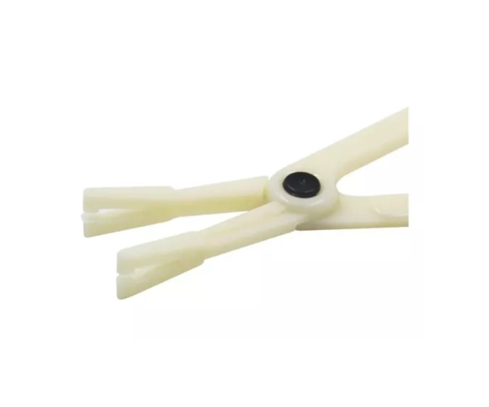 Joyeria corporal - 2024-10-31T130041.729.png